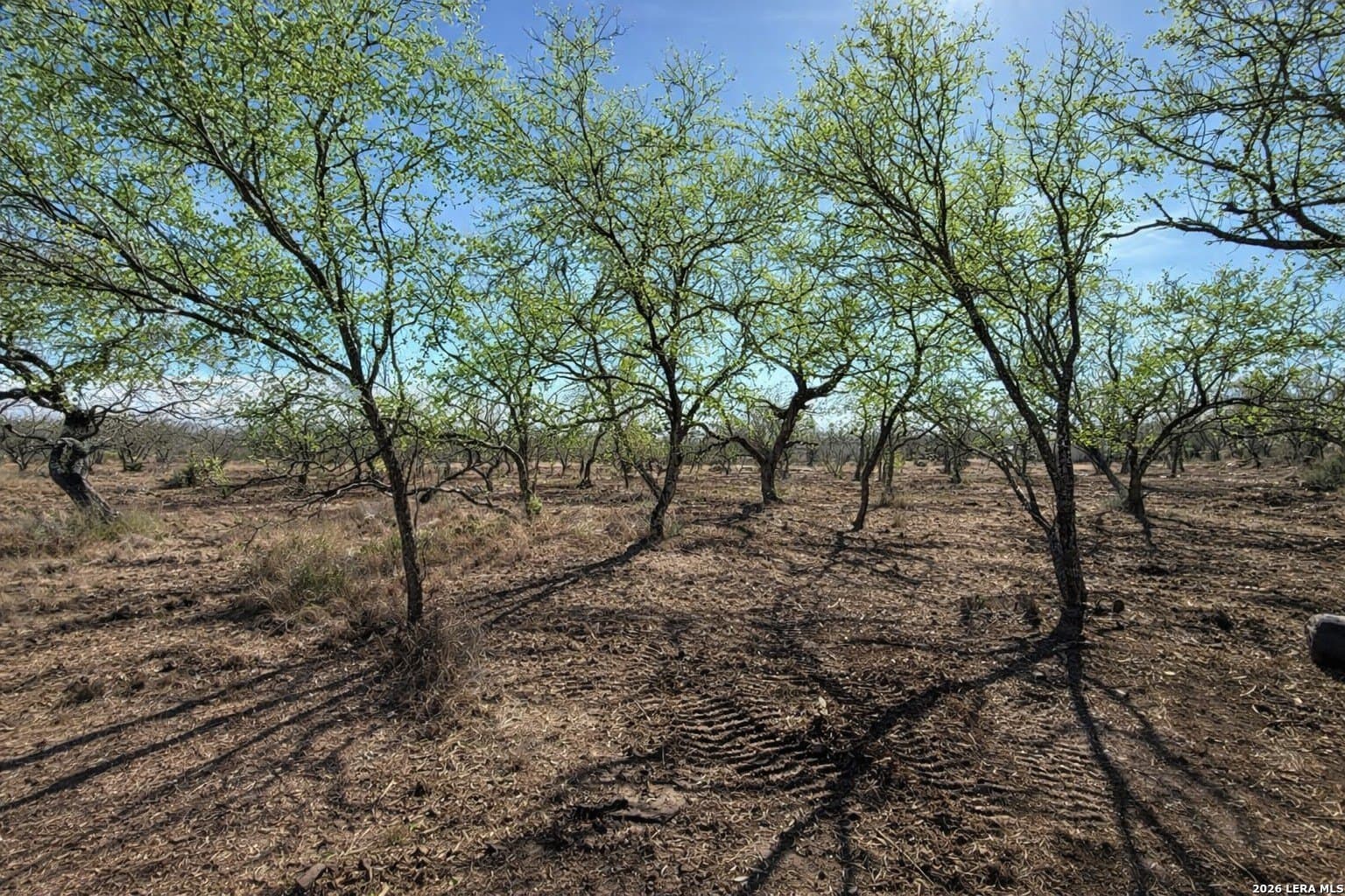 1.28 acres in Atascosa County - photo 12
