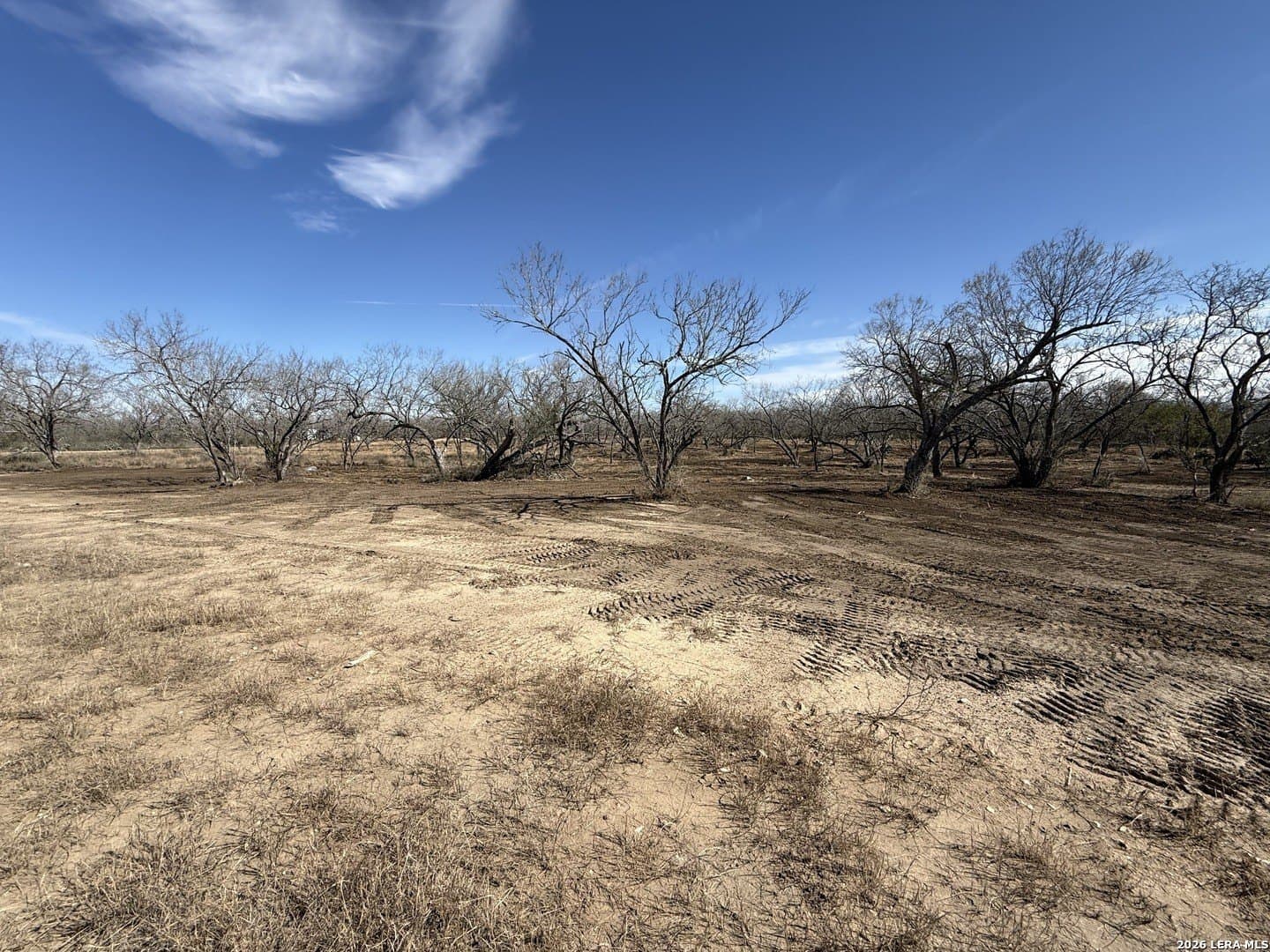 1.28 acres in Atascosa County - photo 31