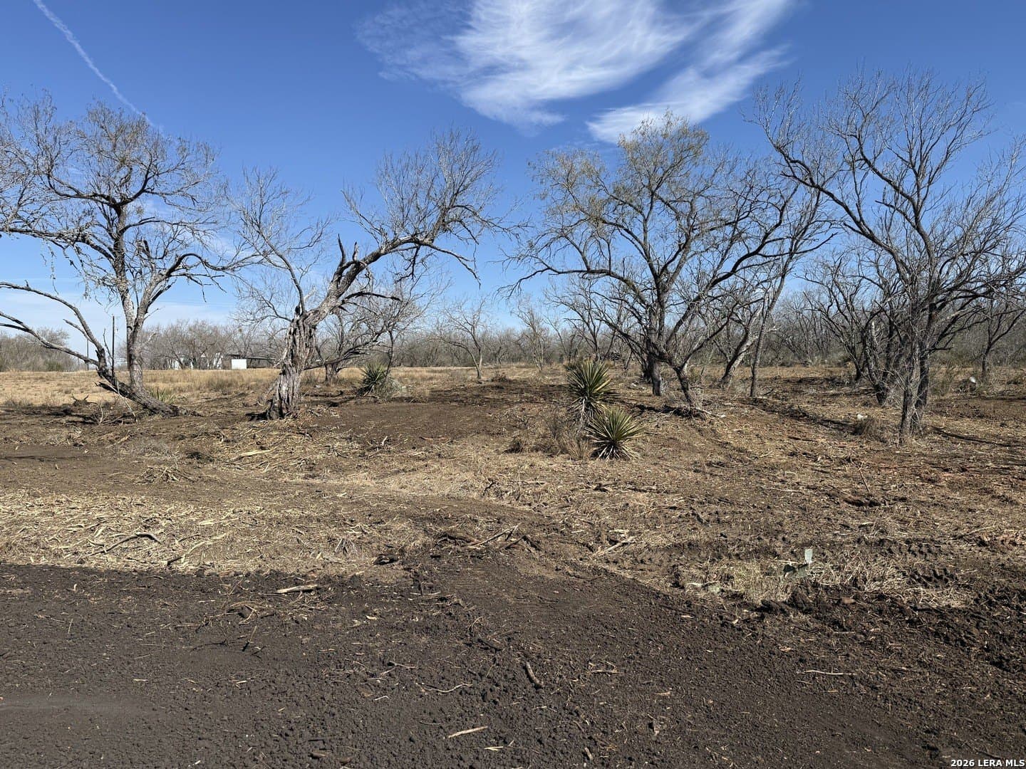 1.28 acres in Atascosa County - photo 33