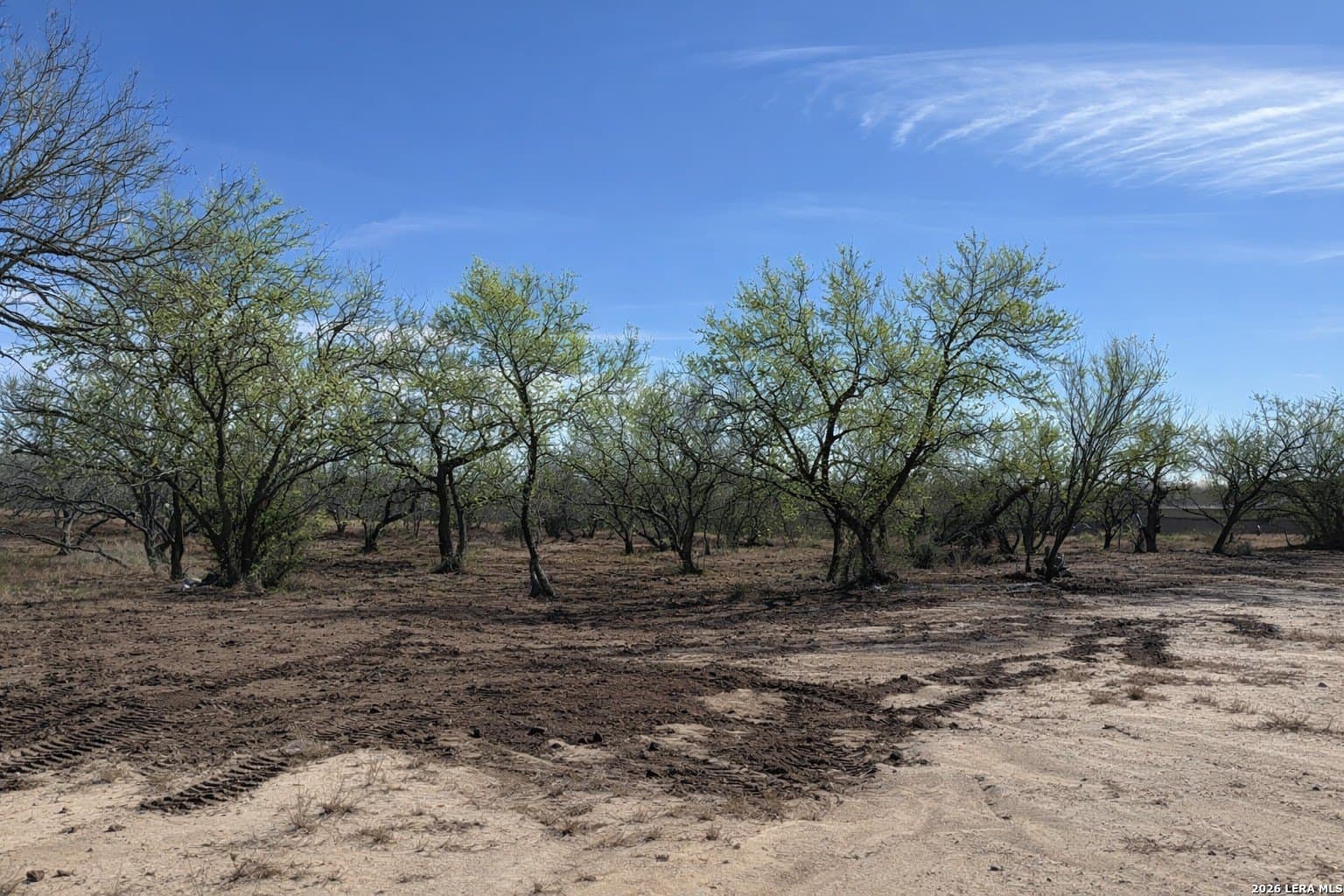 1.28 acres in Atascosa County - photo 5