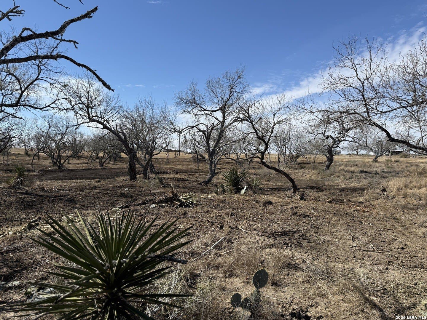 1.28 acres in Atascosa County - photo 38