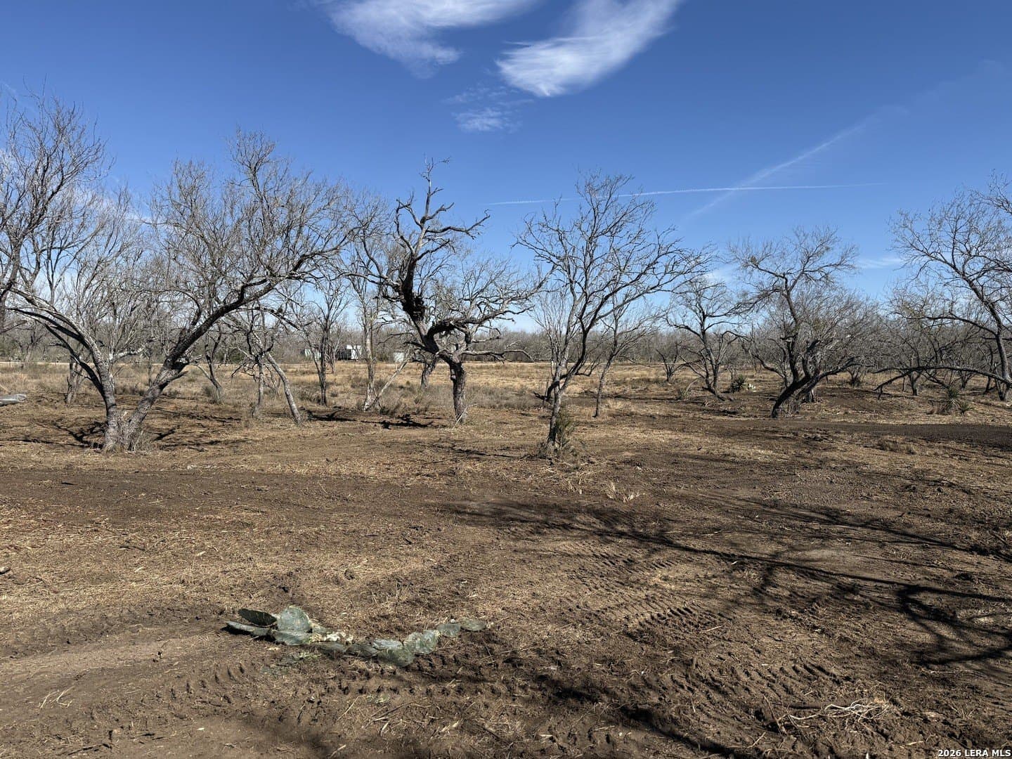 1.28 acres in Atascosa County - photo 32
