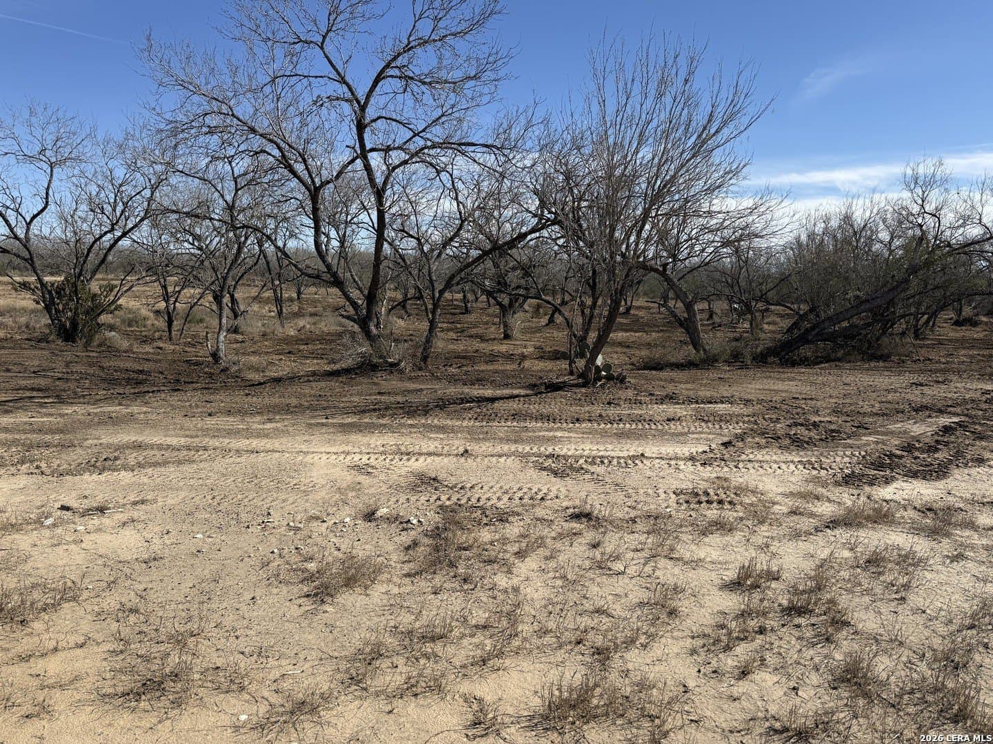 1.28 acres in Atascosa County - photo 28