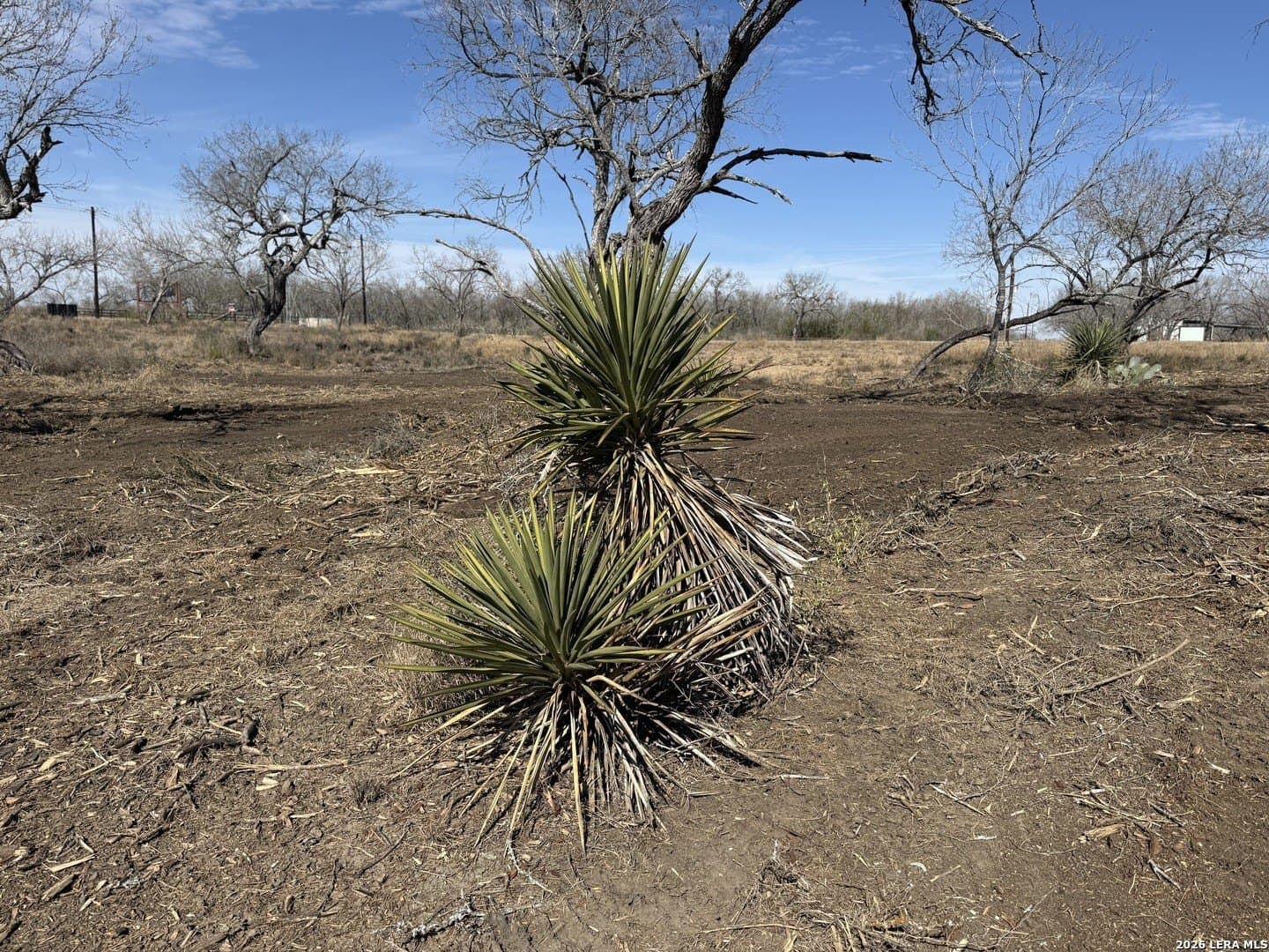 1.28 acres in Atascosa County - photo 35