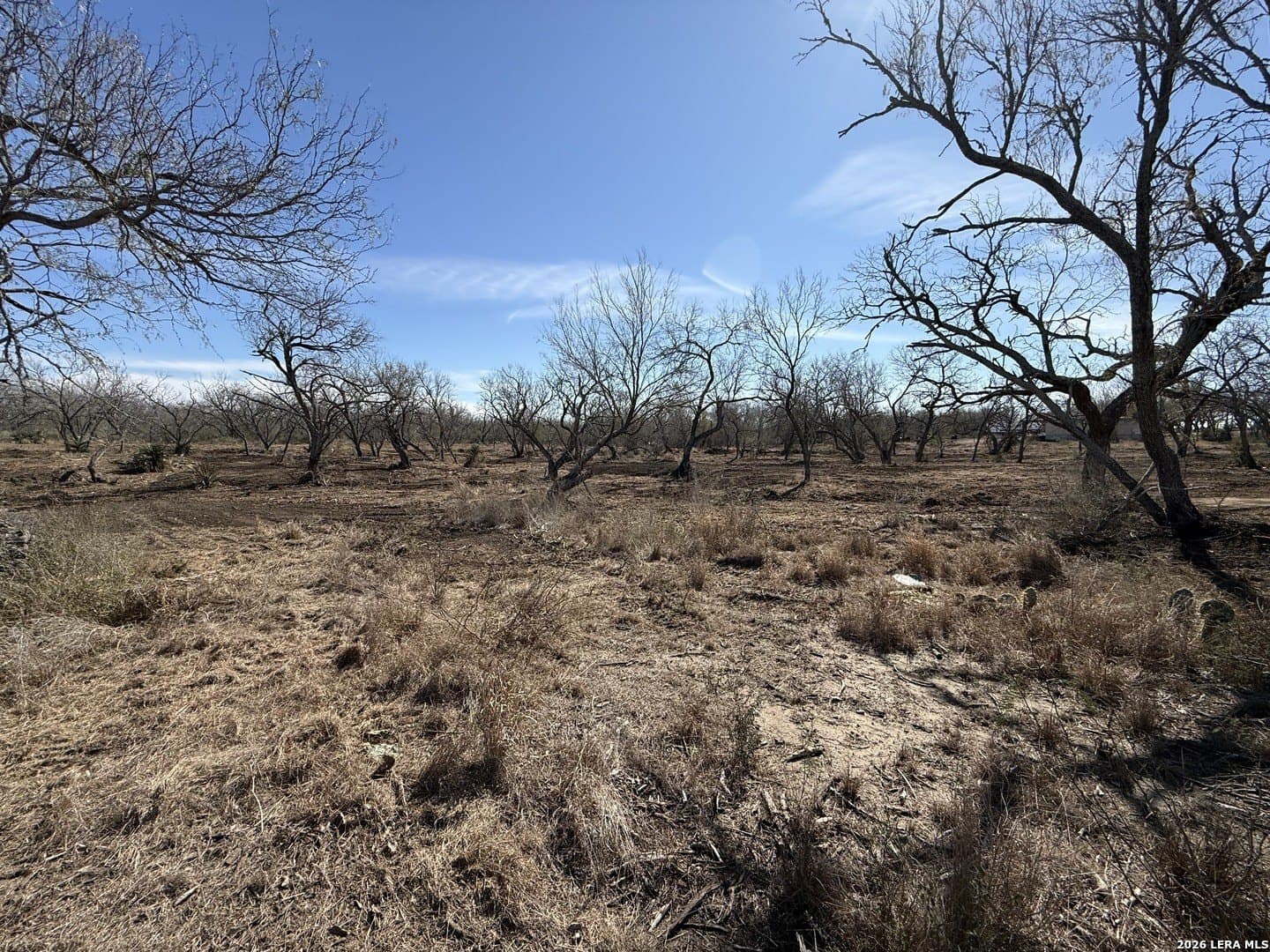 1.28 acres in Atascosa County - photo 45
