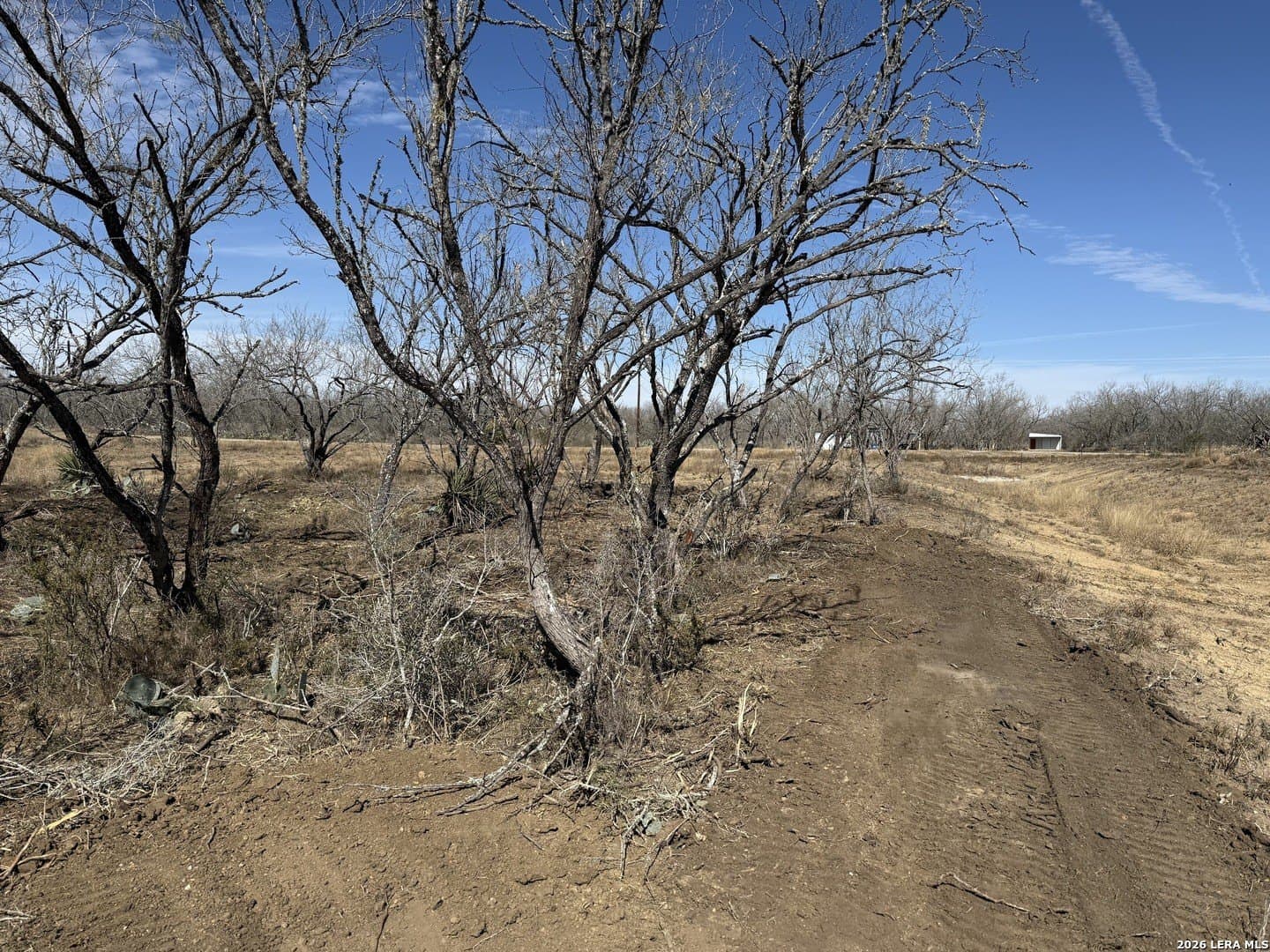 1.28 acres in Atascosa County - photo 40