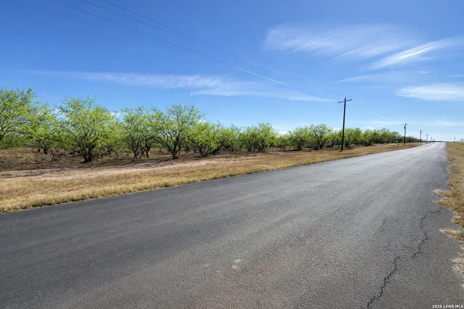 1.28 acres in Atascosa County - photo 14