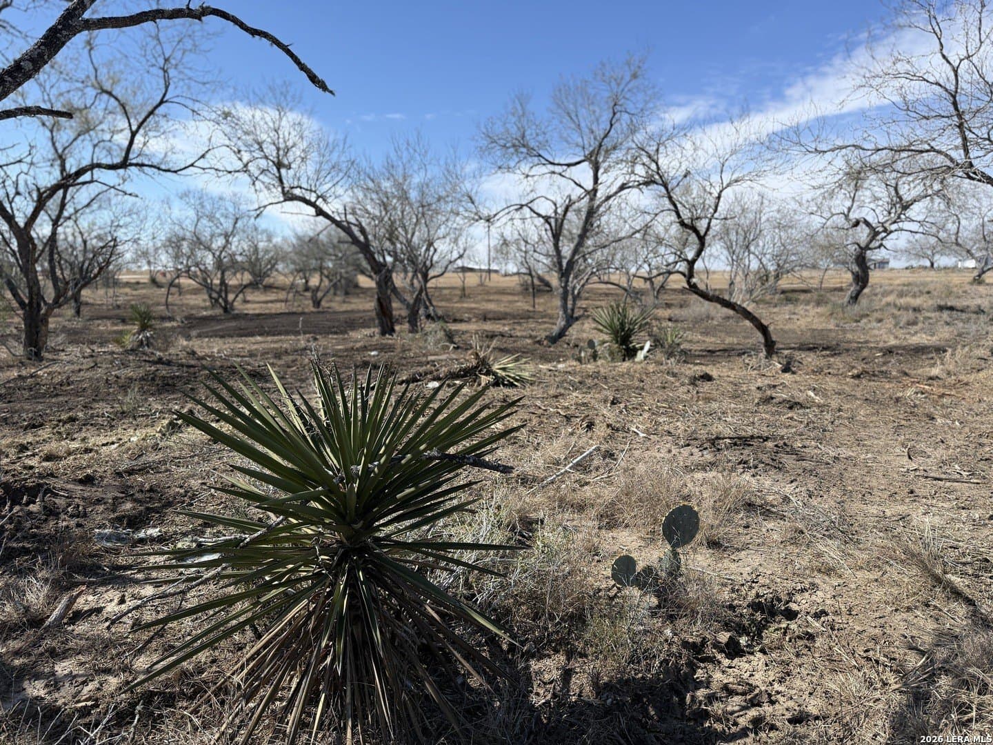 1.28 acres in Atascosa County - photo 37