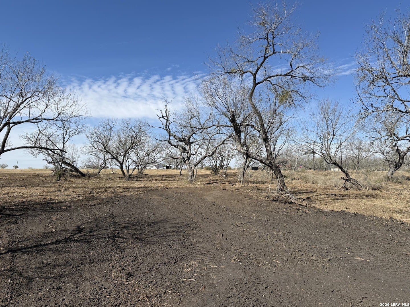 1.28 acres in Atascosa County - photo 34