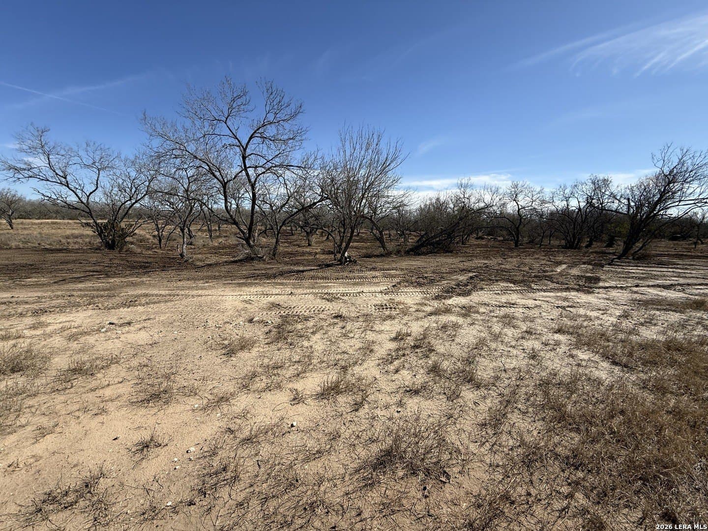 1.28 acres in Atascosa County - photo 29