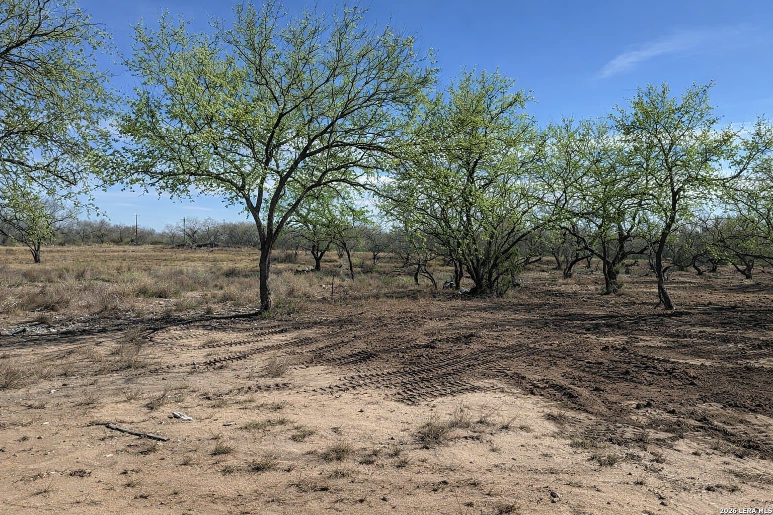 1.28 acres in Atascosa County - photo 7