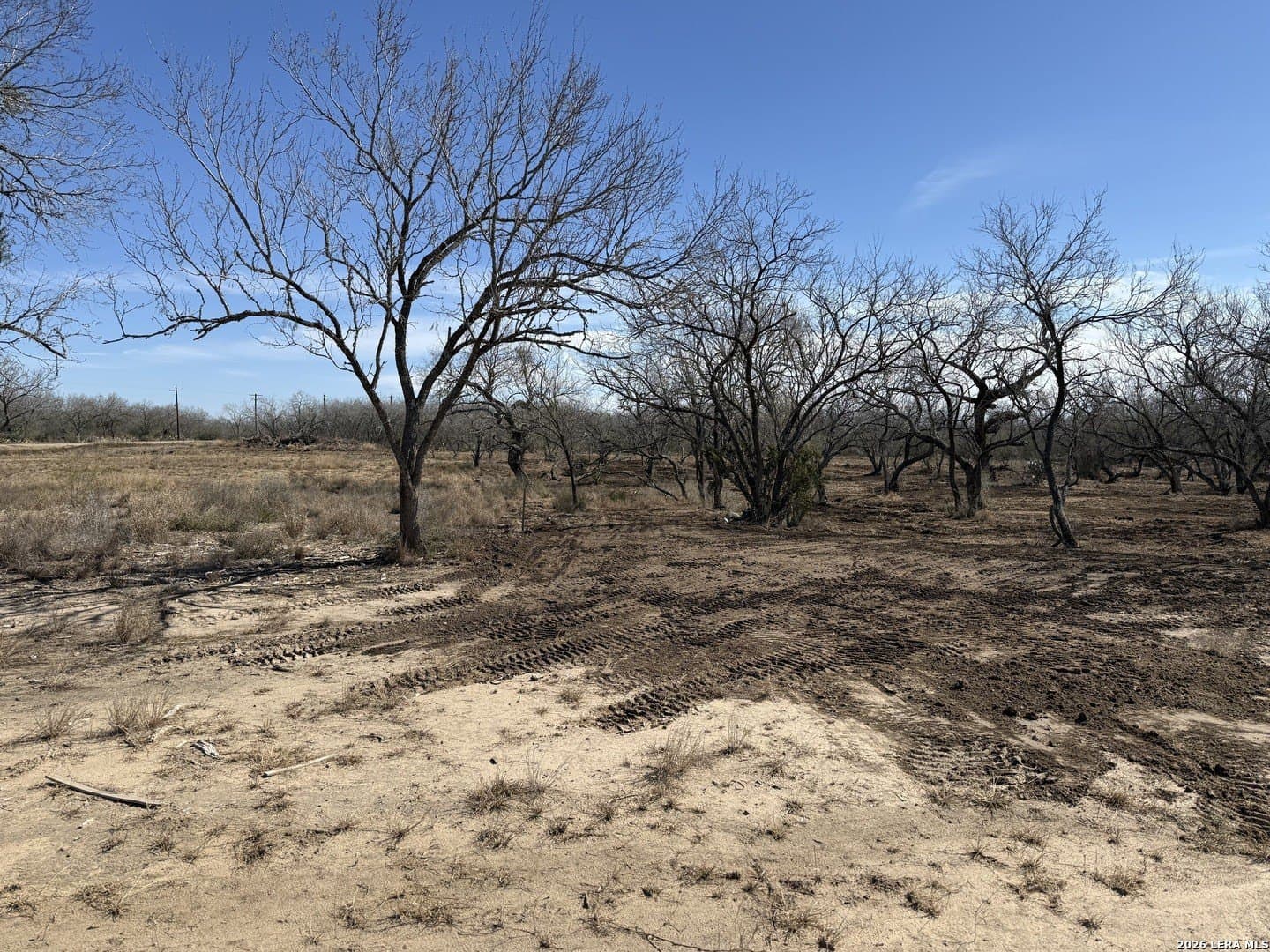 1.28 acres in Atascosa County - photo 25