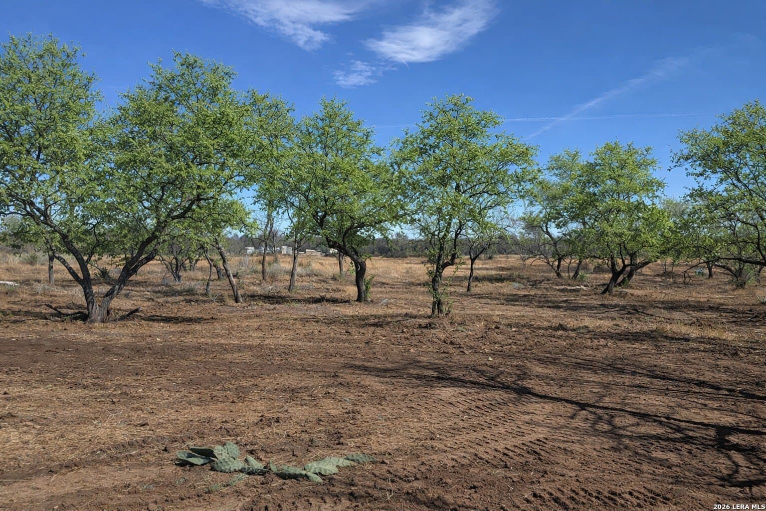 1.28 acres in Atascosa County - photo 3