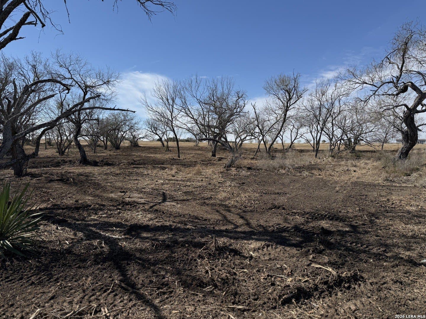 1.28 acres in Atascosa County - photo 42