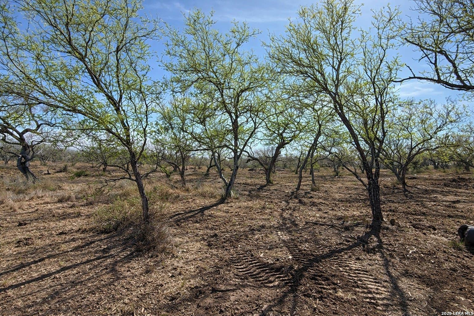 1.28 acres in Atascosa County - photo 11