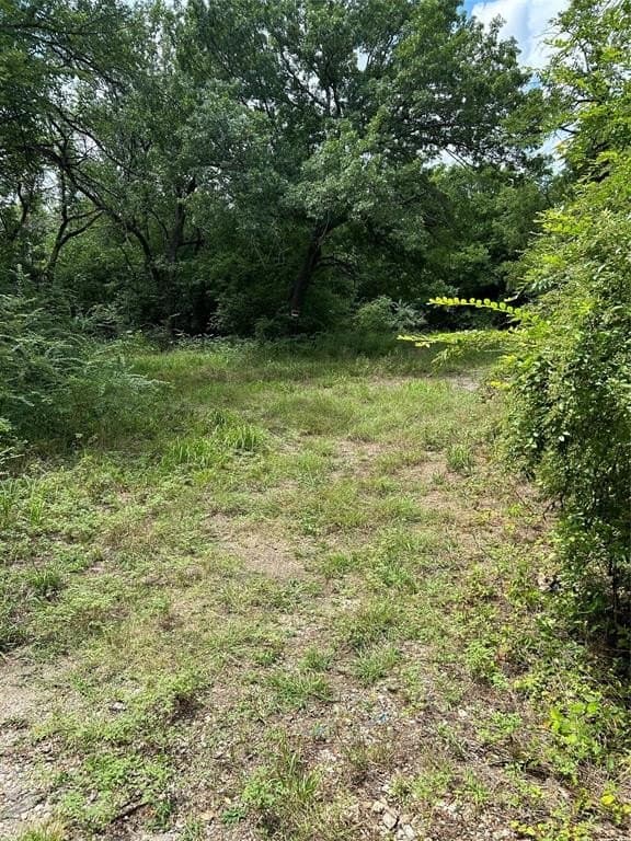 0.16 acres in Grayson County - photo 2