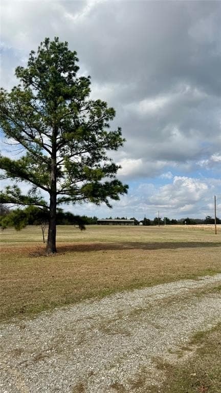 12.2 acres in Fannin County - photo 8
