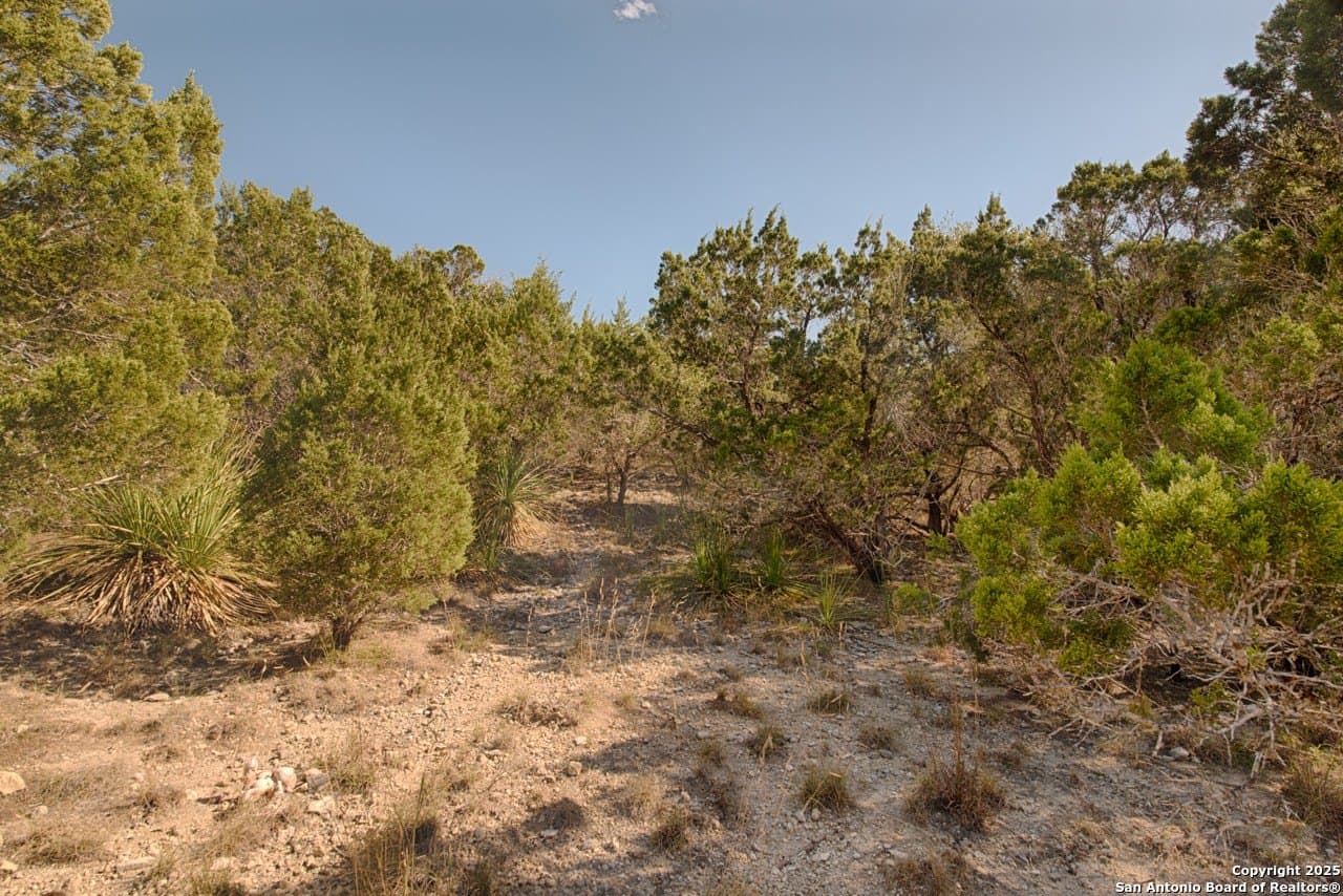 0.22 acres in Comal County - photo 8
