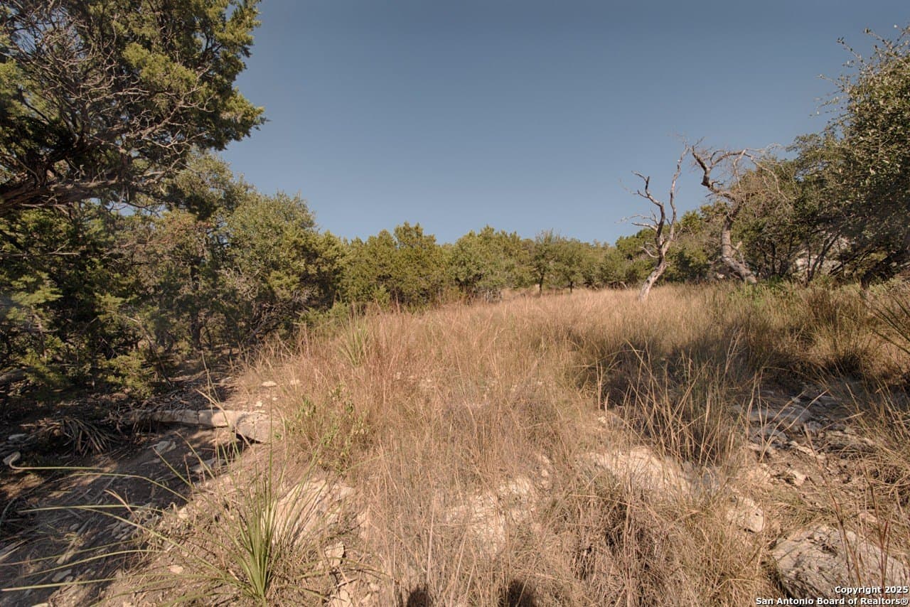0.22 acres in Comal County - photo 6