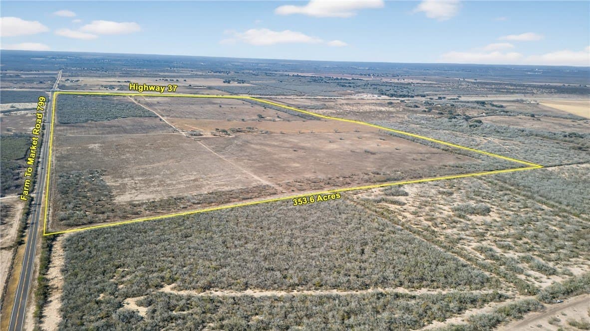 353.6 acres in Live Oak County - photo 4