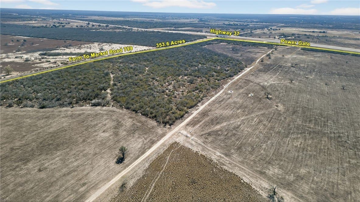 353.6 acres in Live Oak County - photo 23
