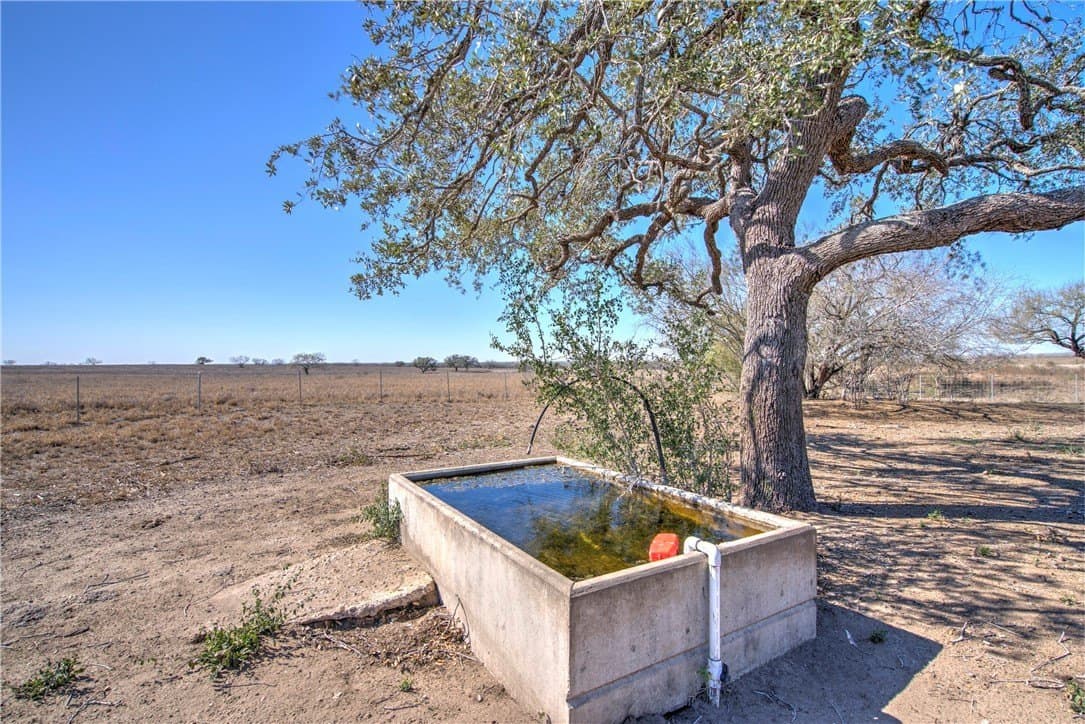 353.6 acres in Live Oak County - photo 29