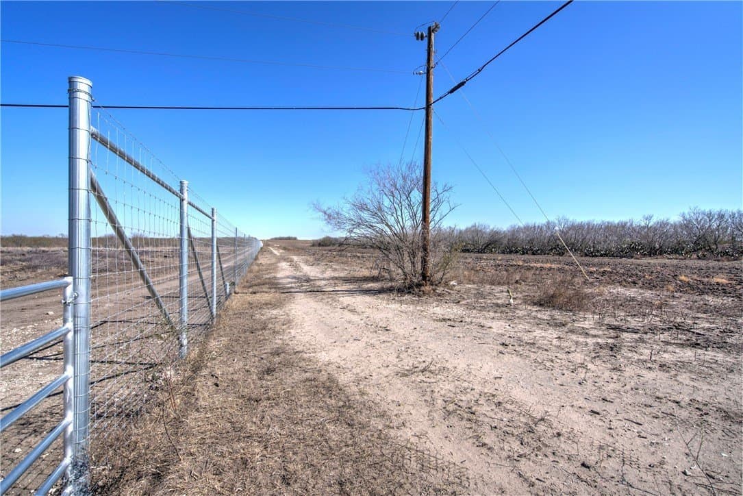 353.6 acres in Live Oak County - photo 28