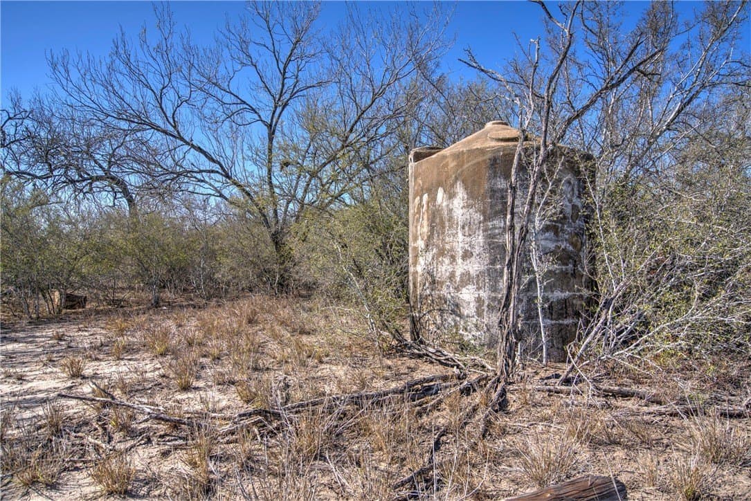 353.6 acres in Live Oak County - photo 32