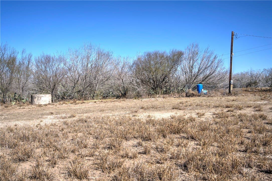353.6 acres in Live Oak County - photo 31