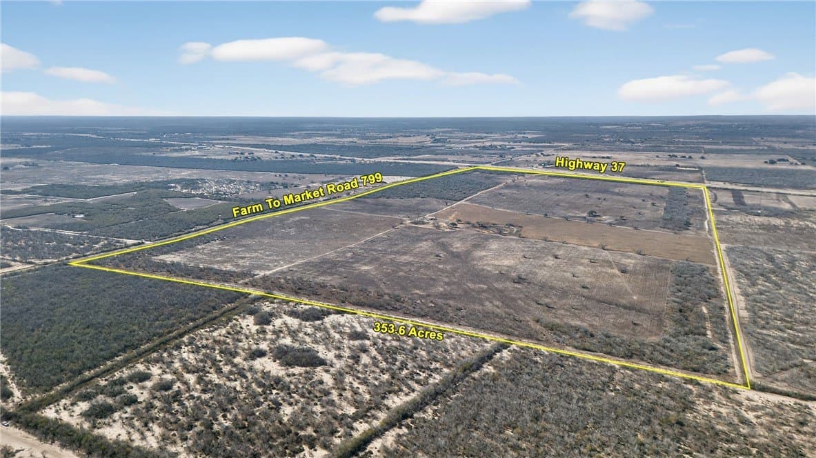 353.6 acres in Live Oak County - photo 5