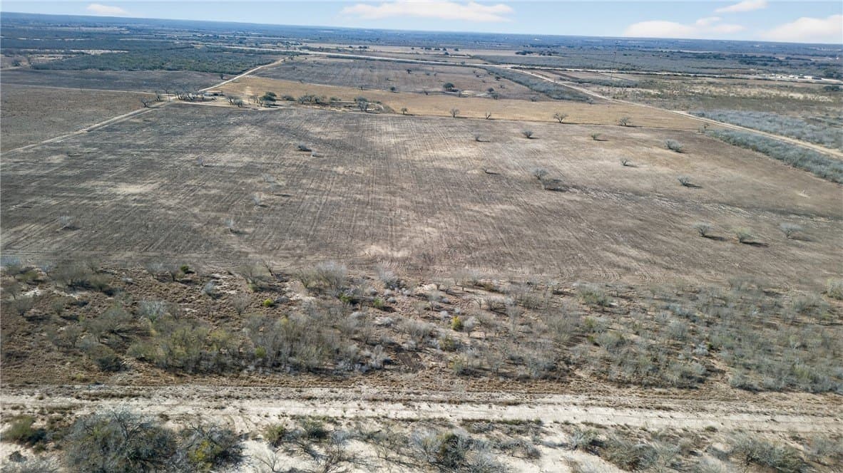 353.6 acres in Live Oak County - photo 7