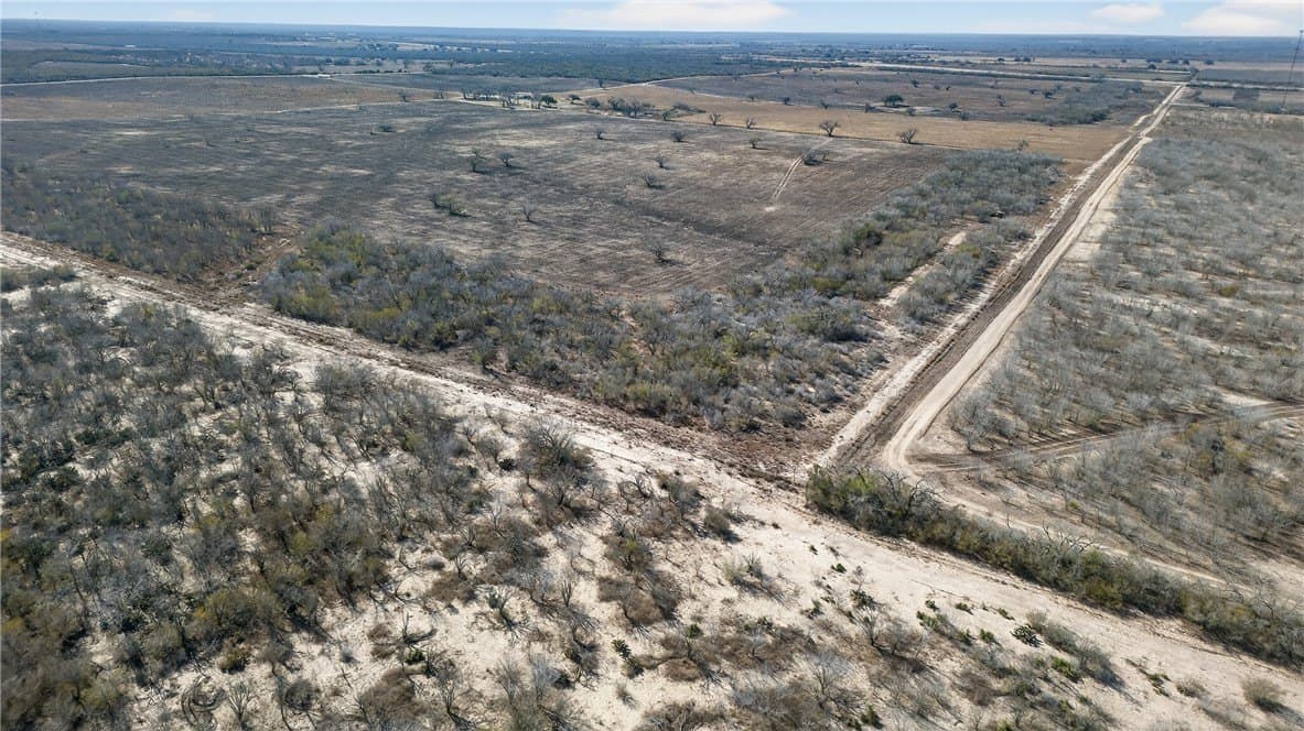 353.6 acres in Live Oak County - photo 6