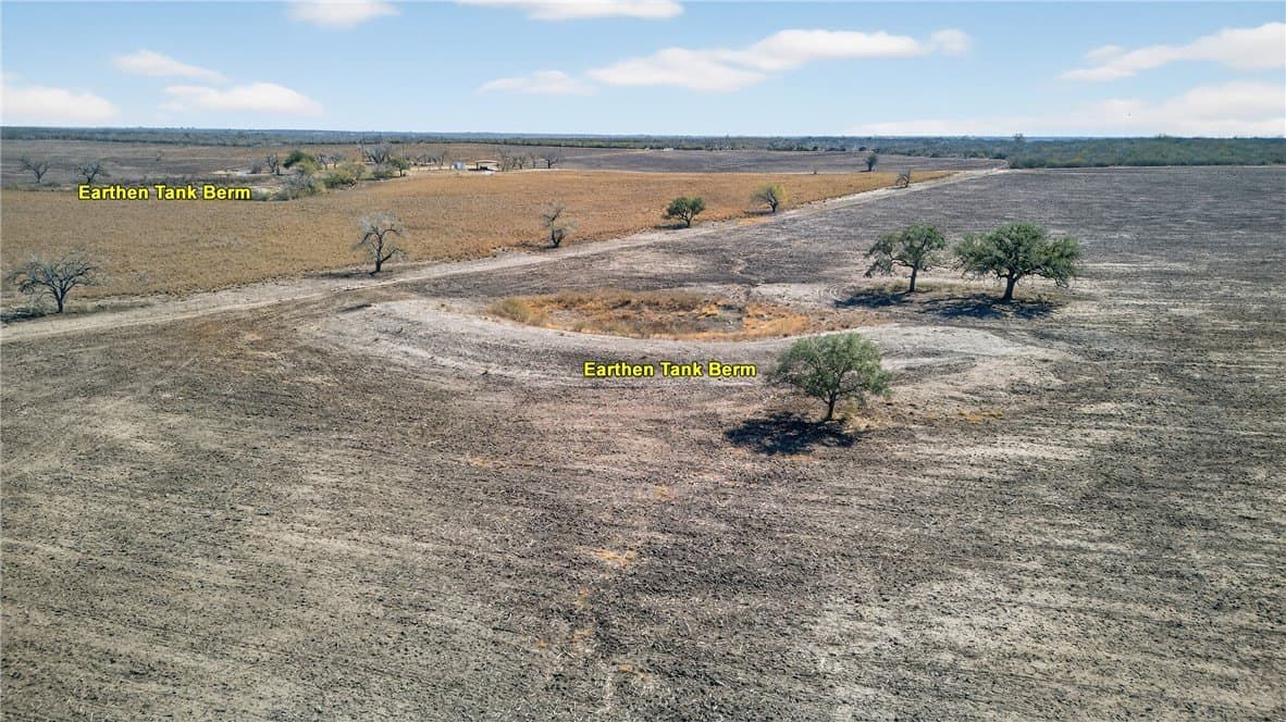 353.6 acres in Live Oak County - photo 12