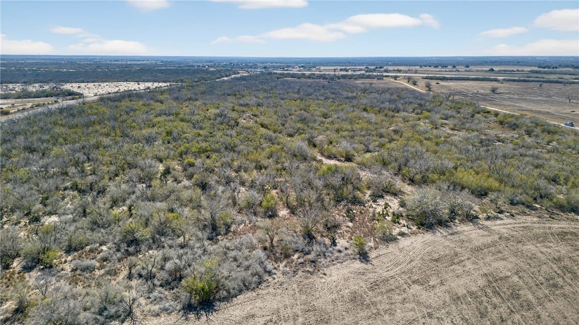353.6 acres in Live Oak County - photo 25