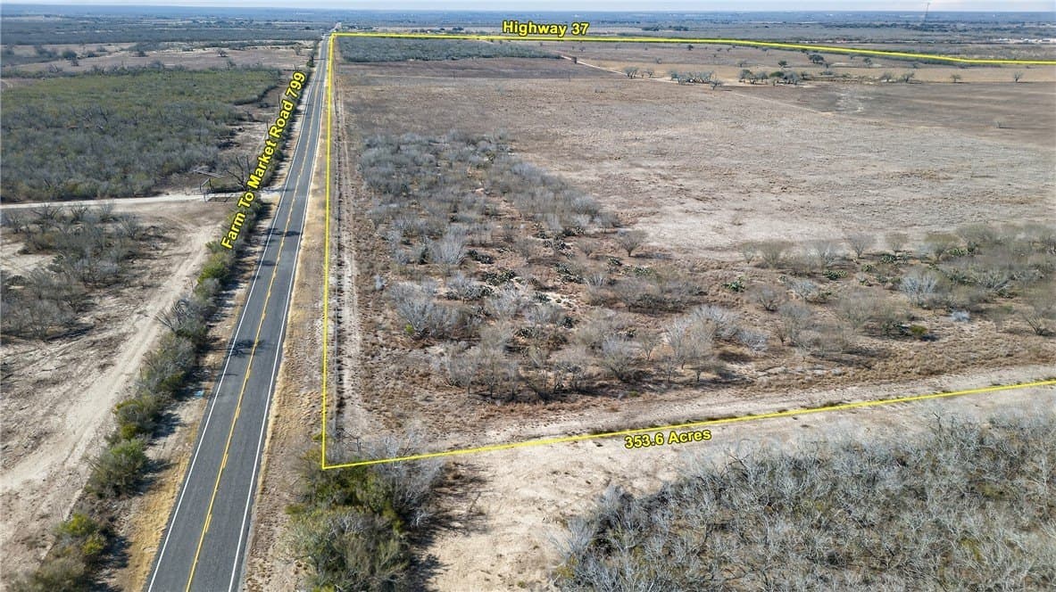 353.6 acres in Live Oak County - photo 9
