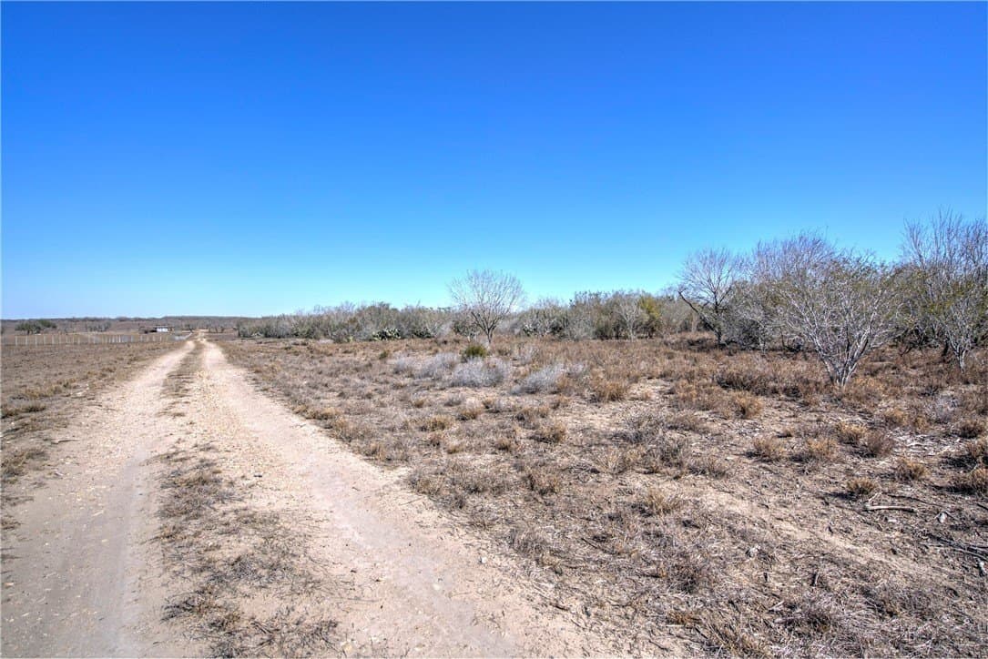 353.6 acres in Live Oak County - photo 30