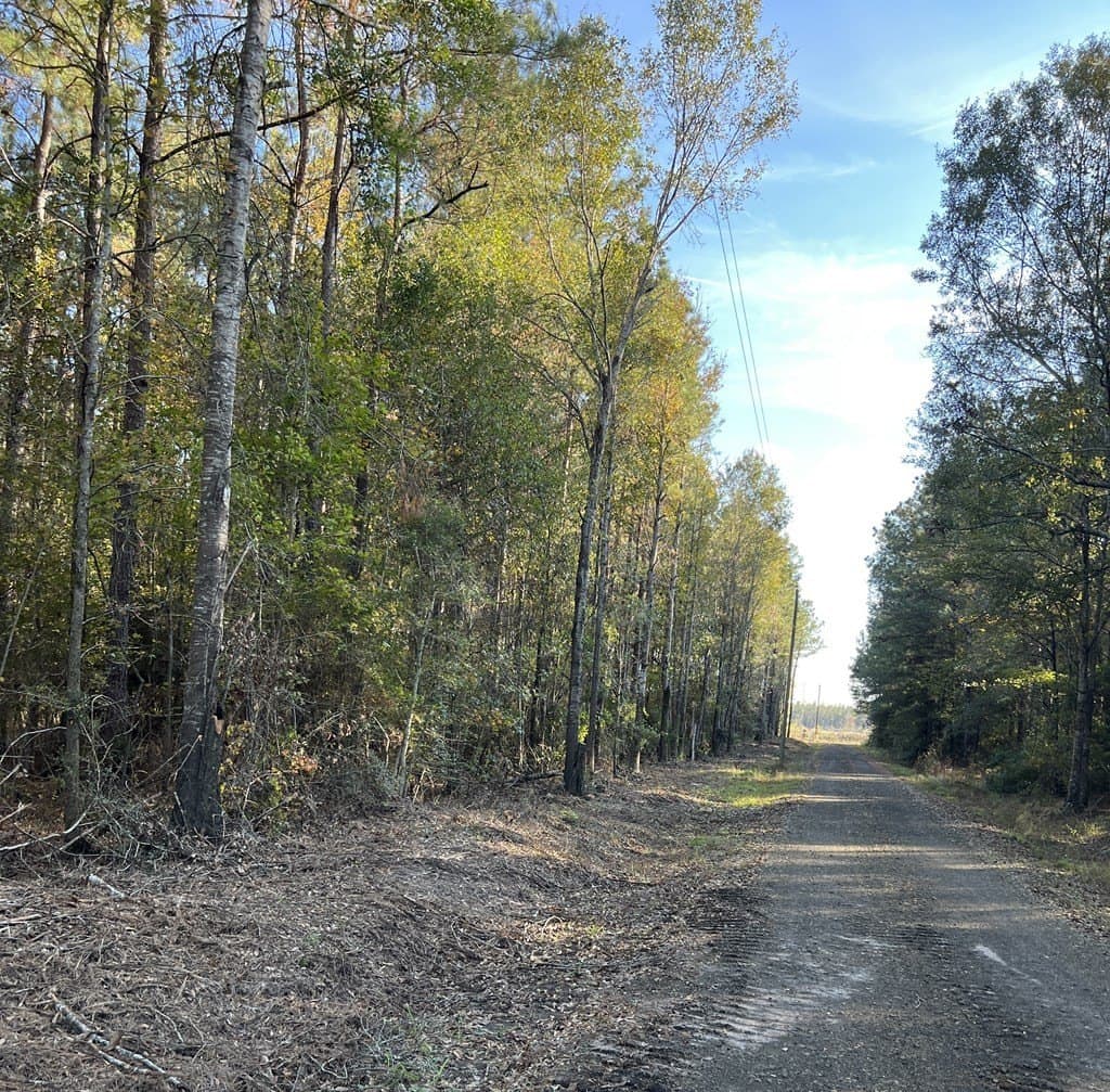 40 acres in Texas County - photo 4