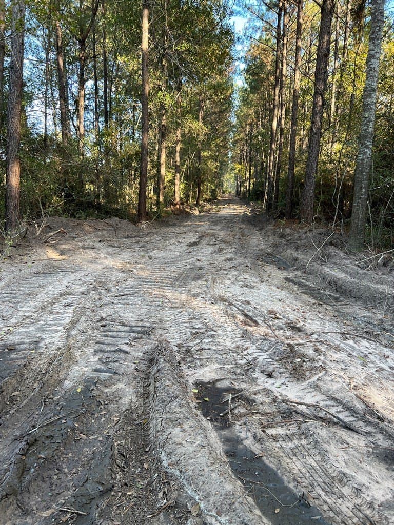 40 acres in Texas County - photo 3
