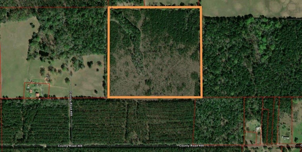 40 acres in Texas County - photo 2