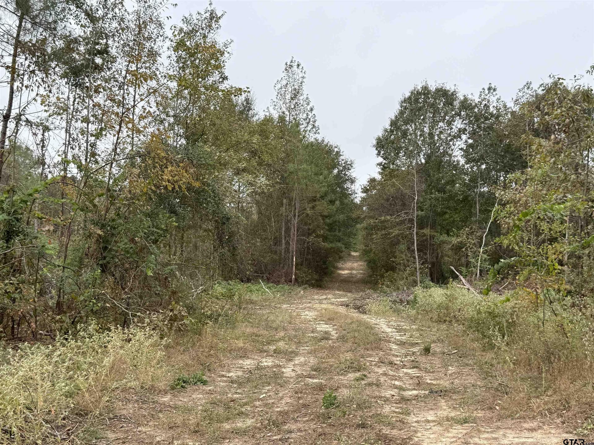 16.45 acres in Rusk County - photo 3