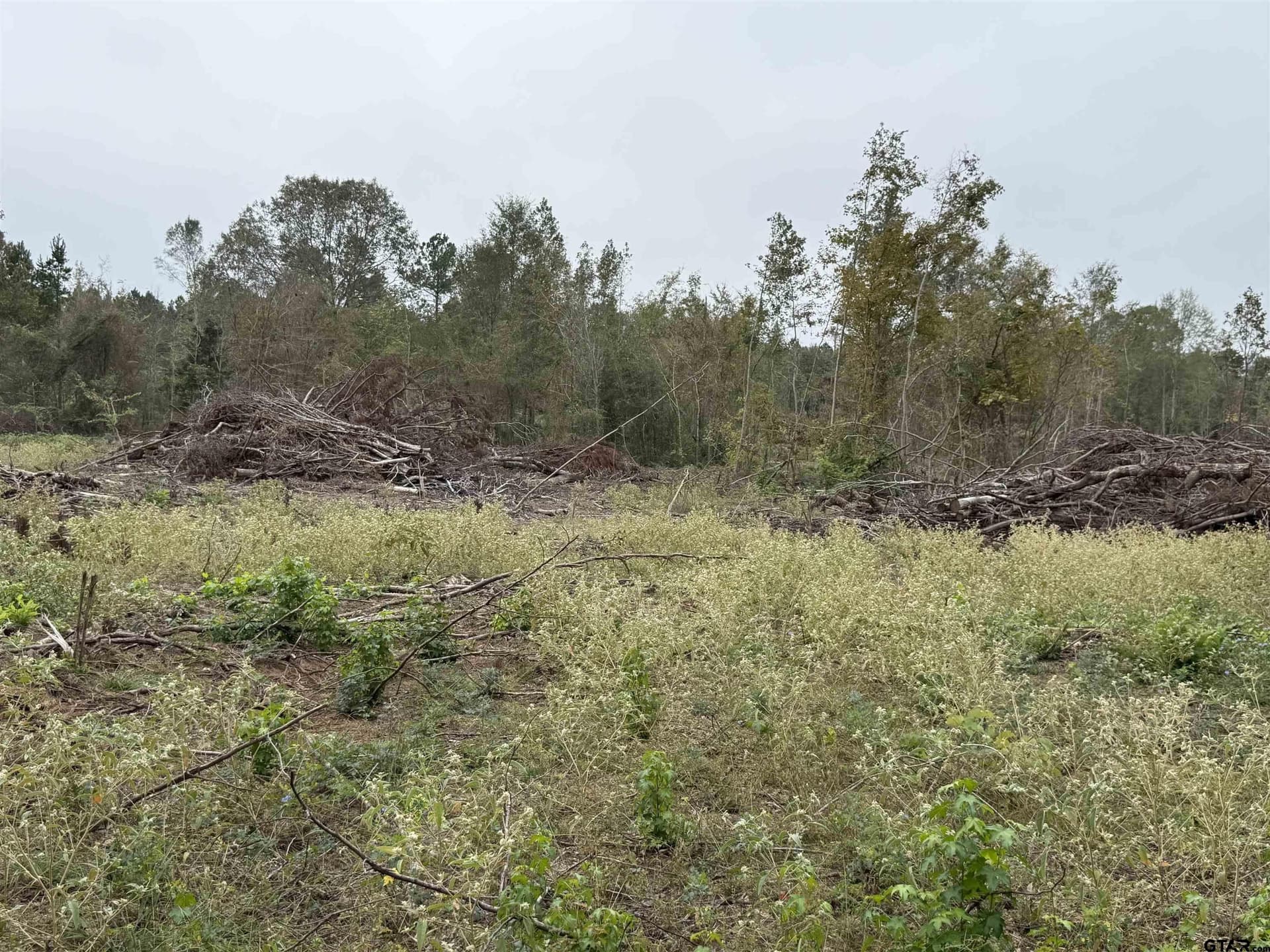 16.45 acres in Rusk County - photo 5