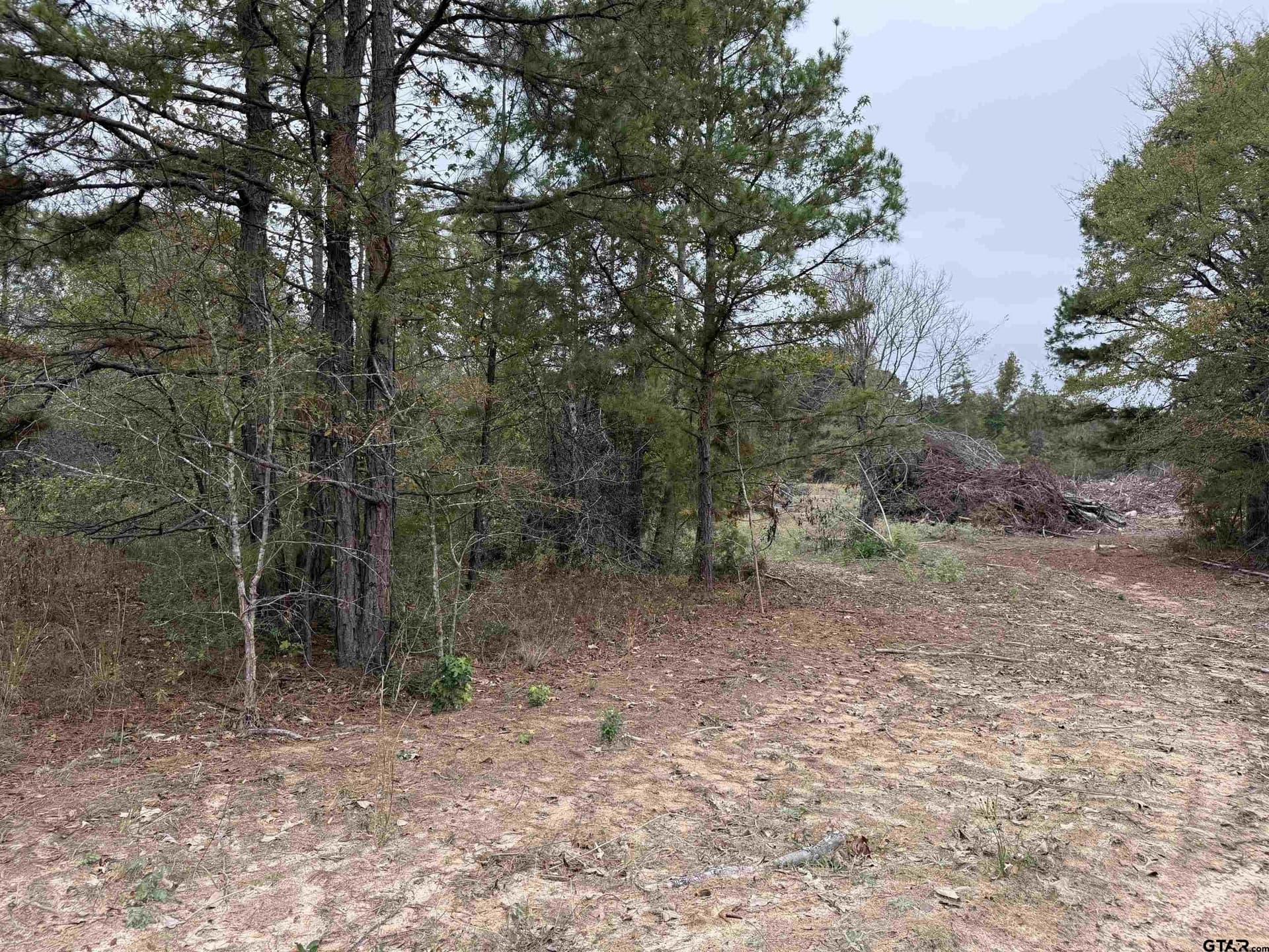 16.45 acres in Rusk County - photo 2