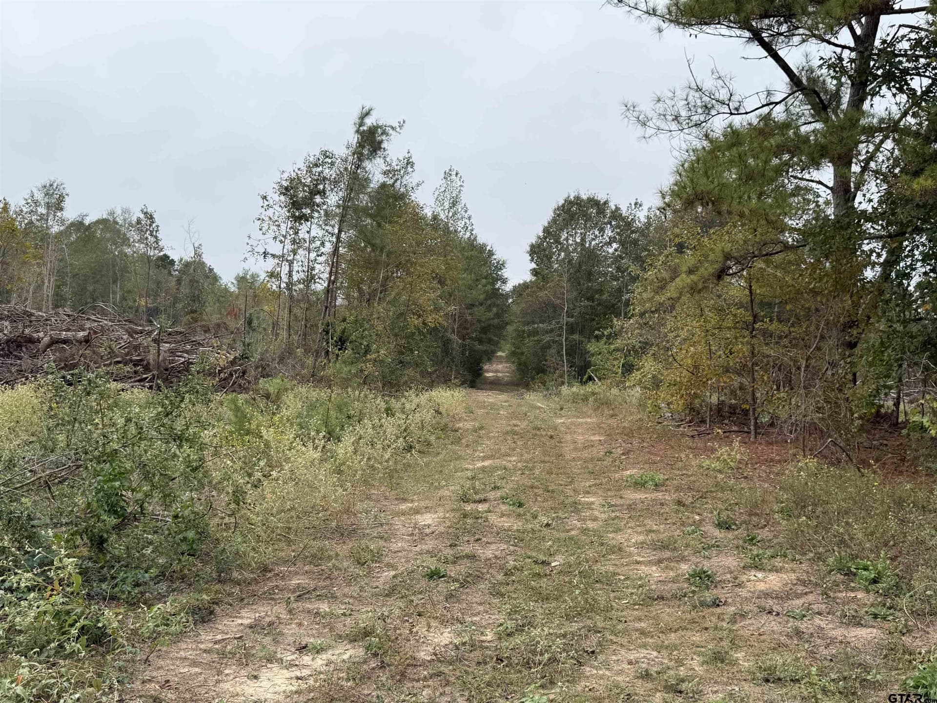 16.45 acres in Rusk County - photo 4