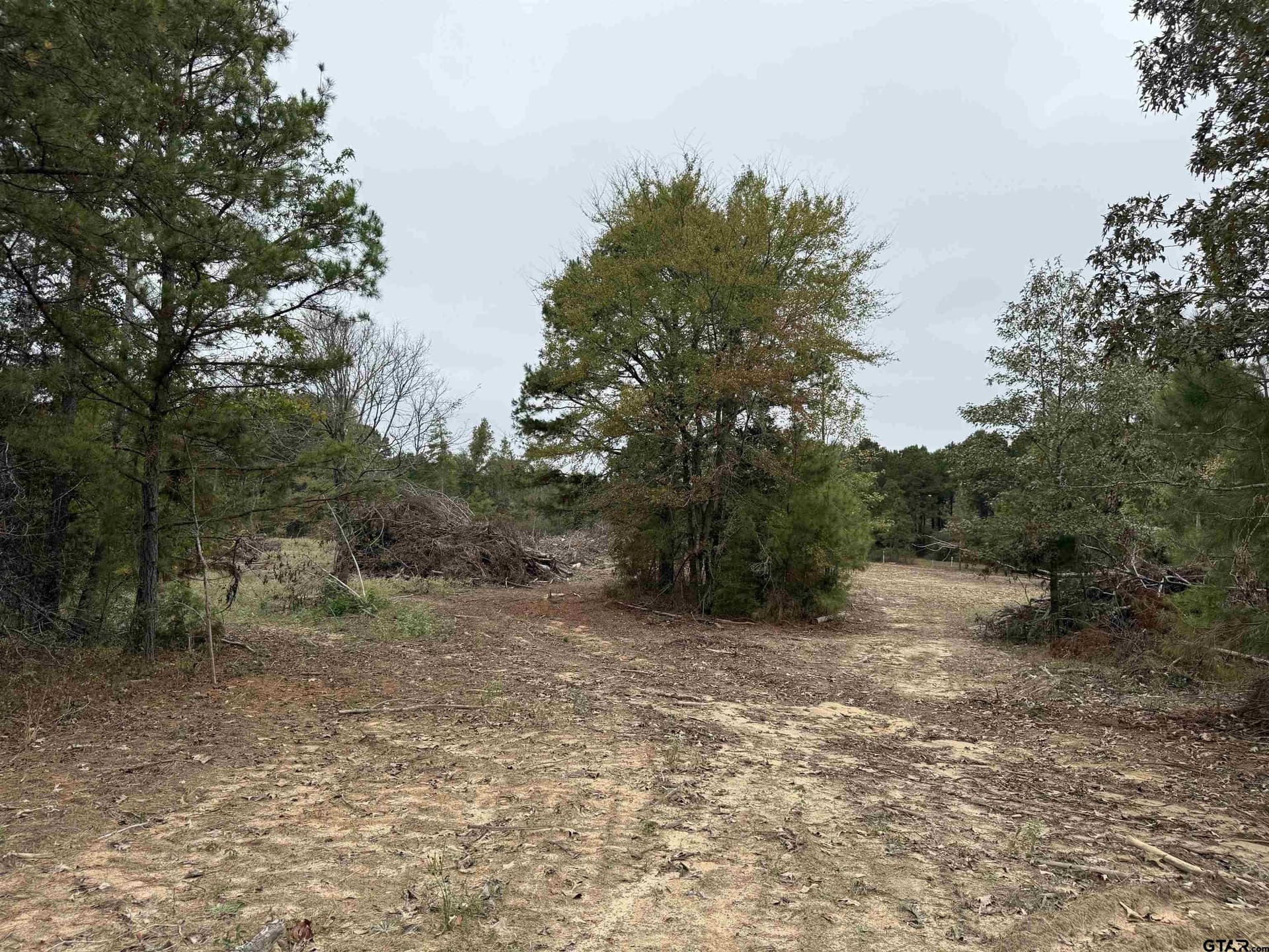 16.45 acres in Rusk County - photo 9