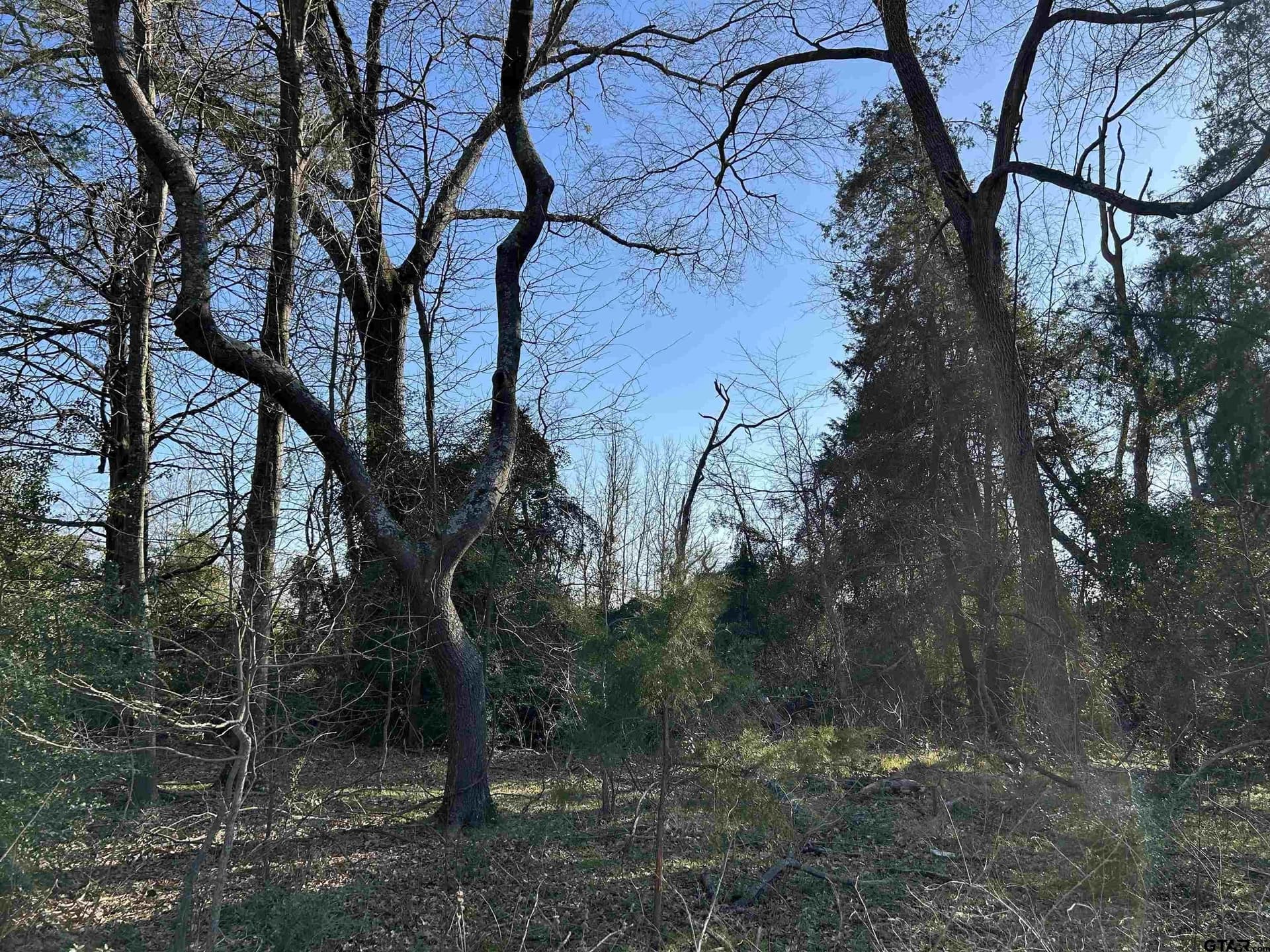 8.1 acres in Camp County - photo 2