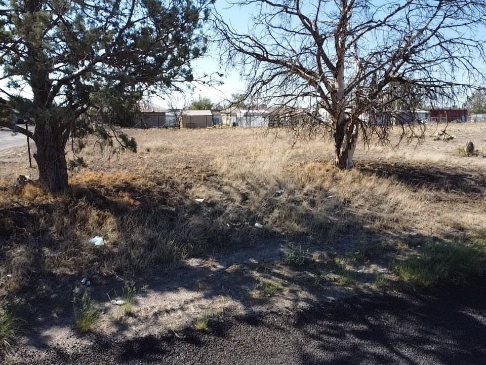 0.13 acres in Presidio County - photo 3