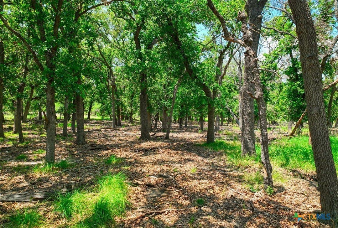 121 acres in Mills County - photo 4