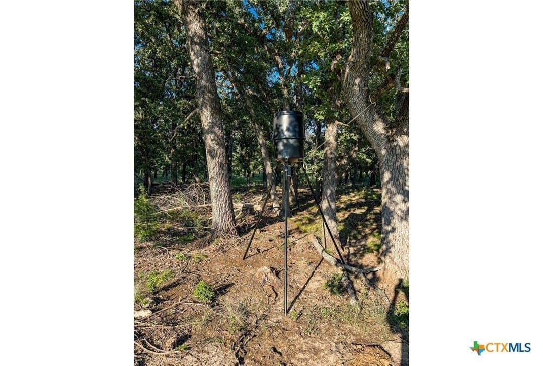 121 acres in Mills County - photo 25