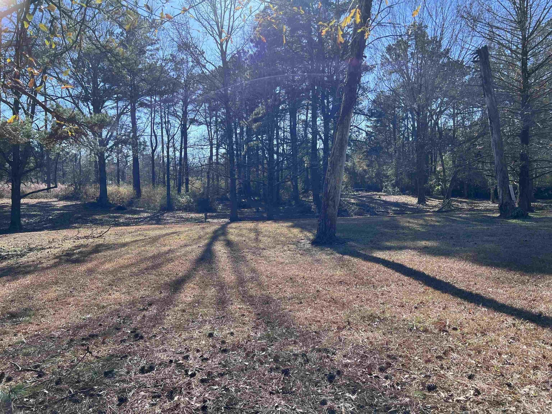 1.53 acres in Panola County - photo 7