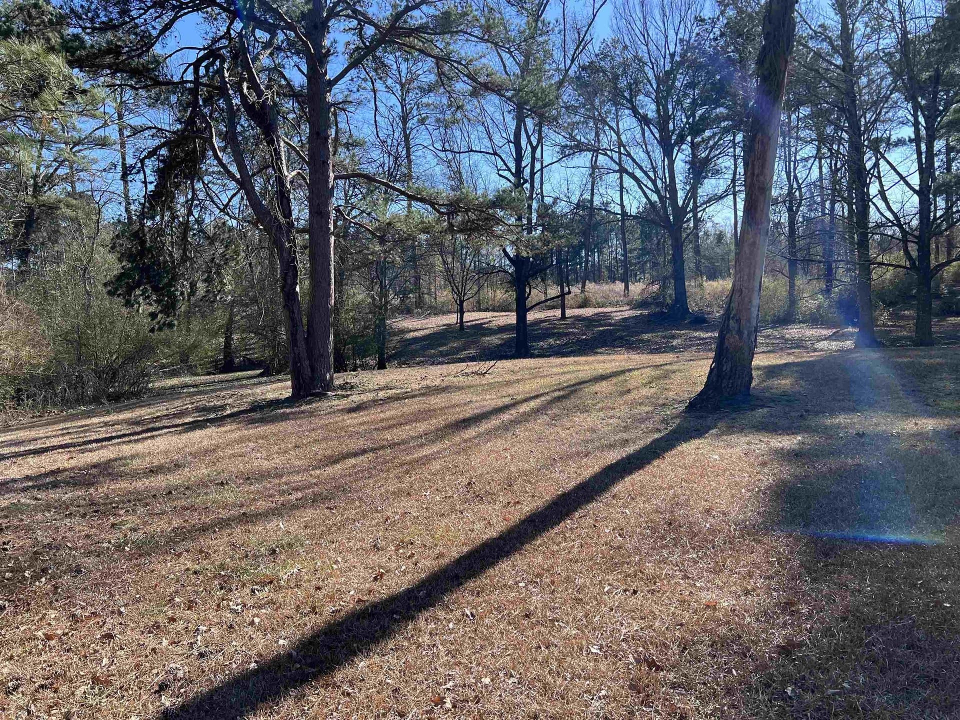 1.53 acres in Panola County - photo 6